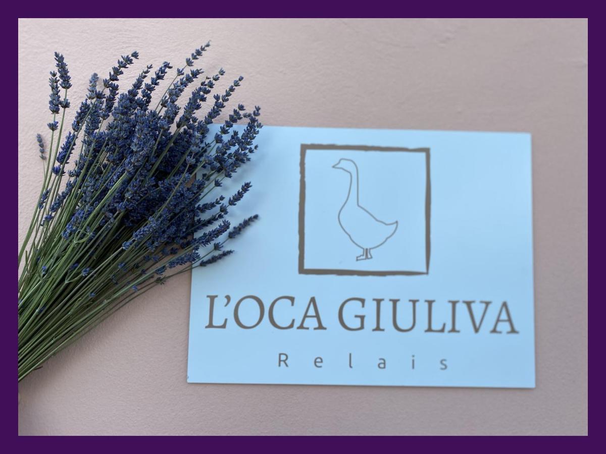 L'Oca Giuliva Relais Panzió Gaggio Montano Kültér fotó